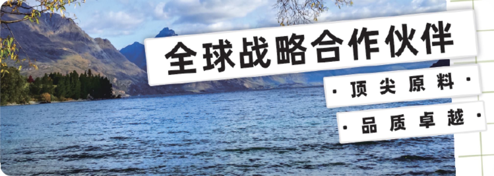 合作伙伴1.jpg