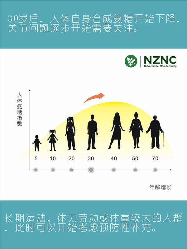 氨糖胶囊3 拷贝.jpg