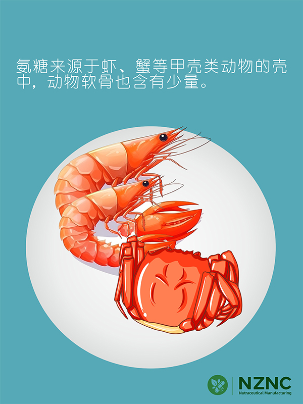 氨糖胶囊4 拷贝.jpg